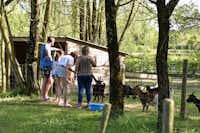 Camping Domaine de Bellevue - Gäste vom Campingplatz im Bauernhof mit Ziegen