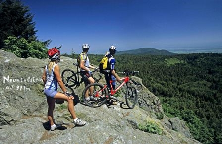 Camping Domaine de Champé