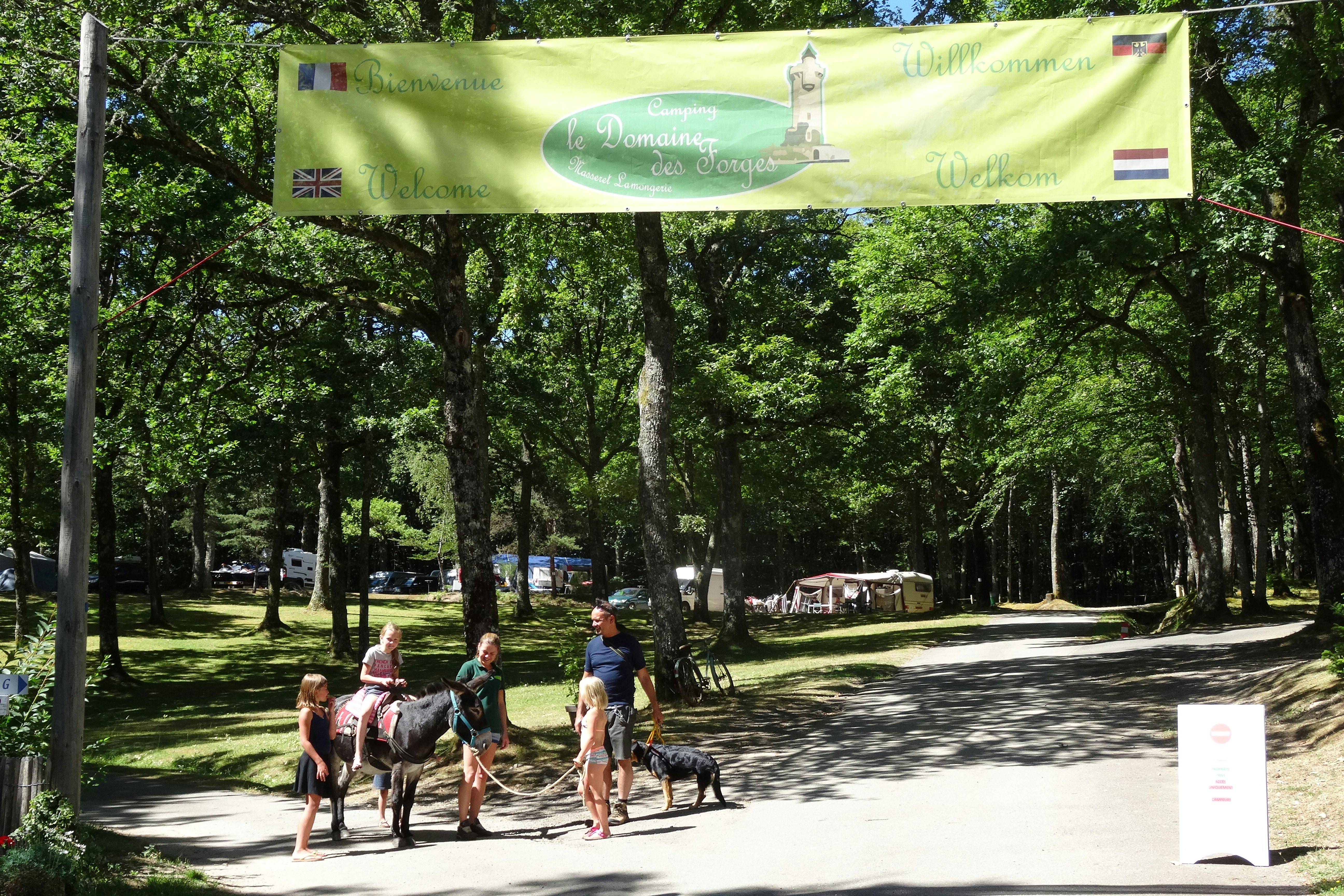 Camping Domaine de Forges - Eingangsstrasse auf den Campingplatz mit Stellplätzen unter Bäumen im Hintergrund