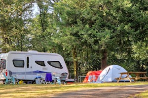 Camping Domaine de Forges - Standplätze auf dem Campingplatz