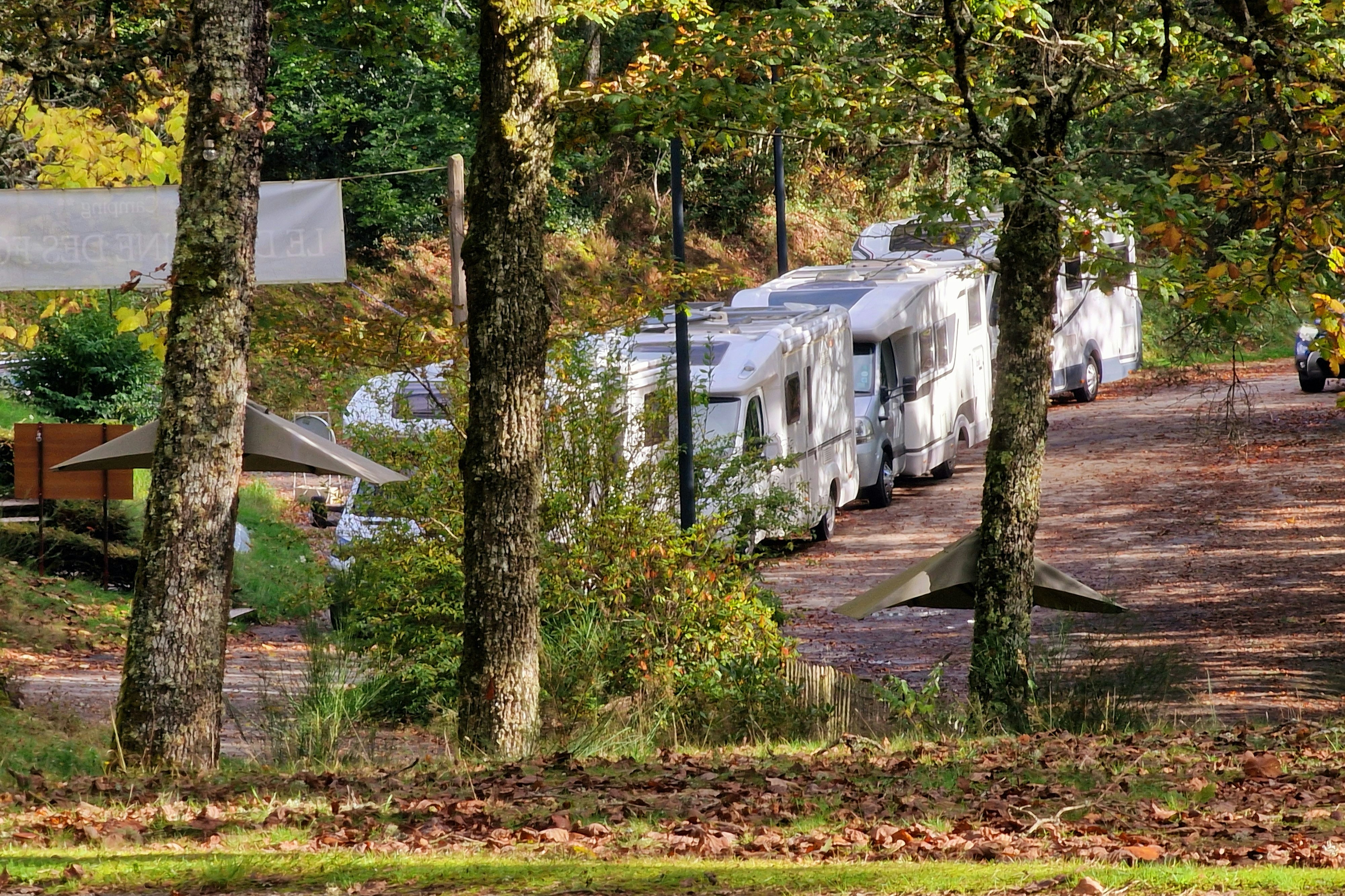 Camping Domaine de Forges - Standplätze auf dem Campingplatz