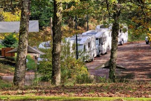 Camping Domaine de Forges - Standplätze auf dem Campingplatz