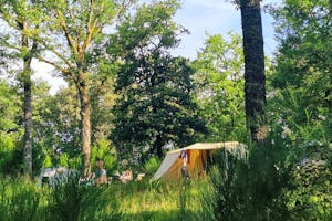 Camping Domaine de Forges - Standplätze im Grünen auf dem Campingplatz