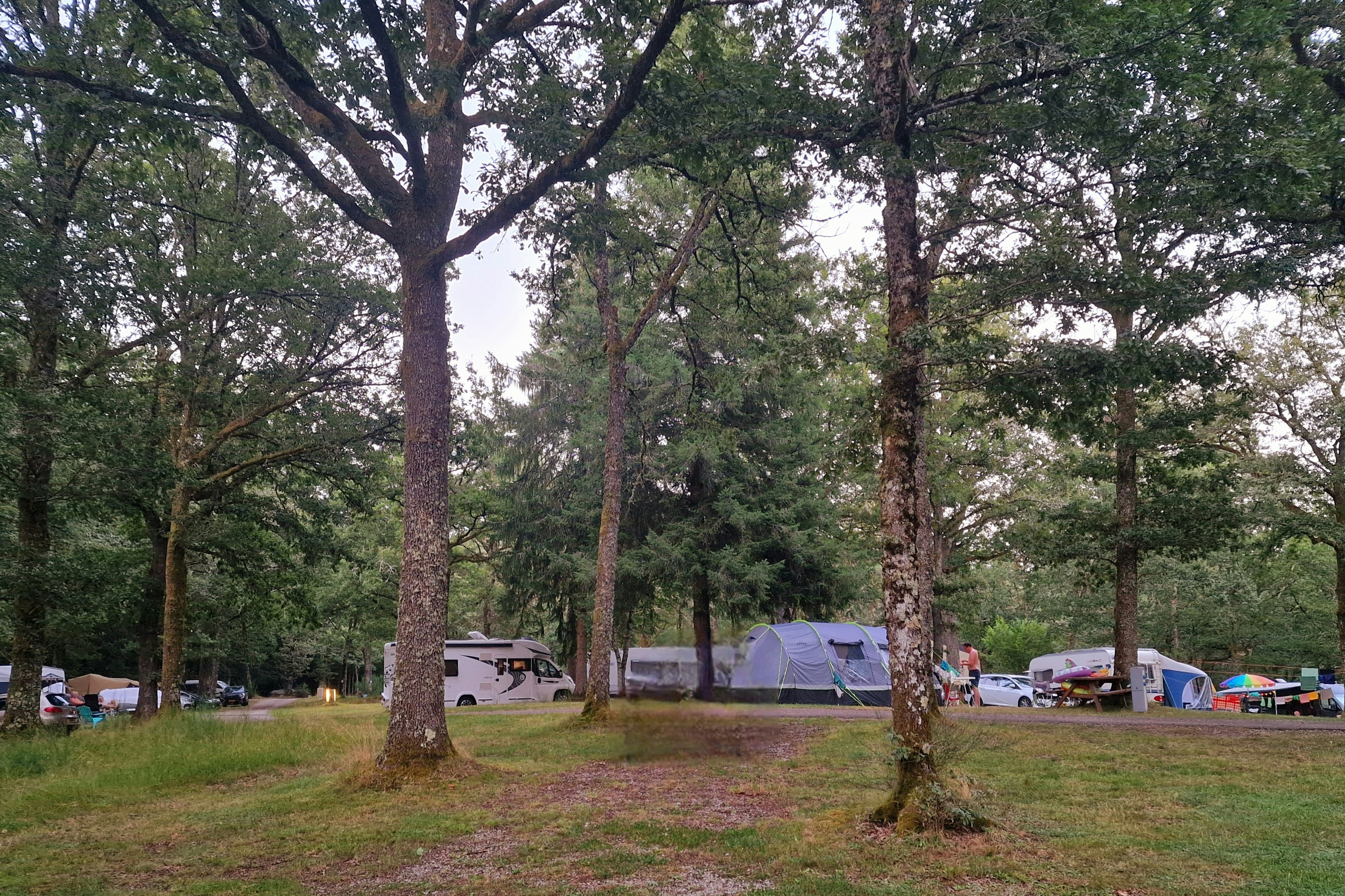Camping Domaine de Forges - Standplätze zwischen den Bäumen auf dem Campingplatz