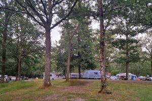 Camping Domaine de Forges - Standplätze zwischen den Bäumen auf dem Campingplatz
