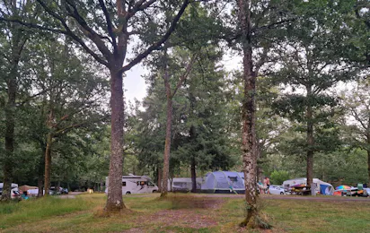 Camping Montard
