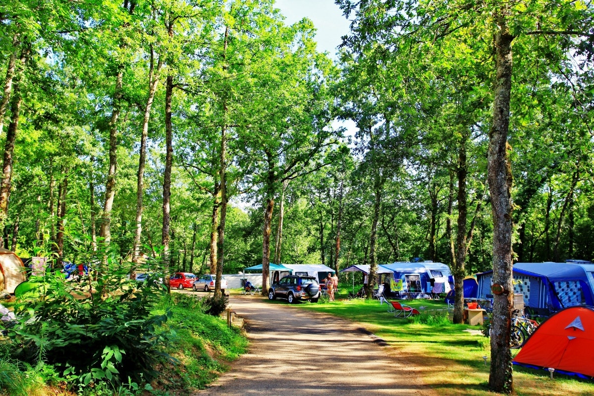 Camping Domaine de Fromengal - Standplätze zwischen den Bäumen auf dem Campingplatz