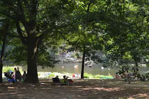 Camping Domaine de Gil - Camper im Schatten von Bäumen am Fluss vom Campingplatz