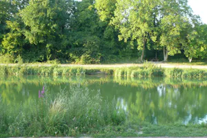 Camping Domaine de la Nature - der Teich in der Nähe vom Campingplatz--