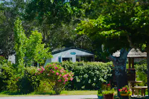 Bungalow im Grünen mit Hecken, Blumenbeeten und einem Weg am Campingplatz, im Hintergrund Bäume und ein Holzsteg.