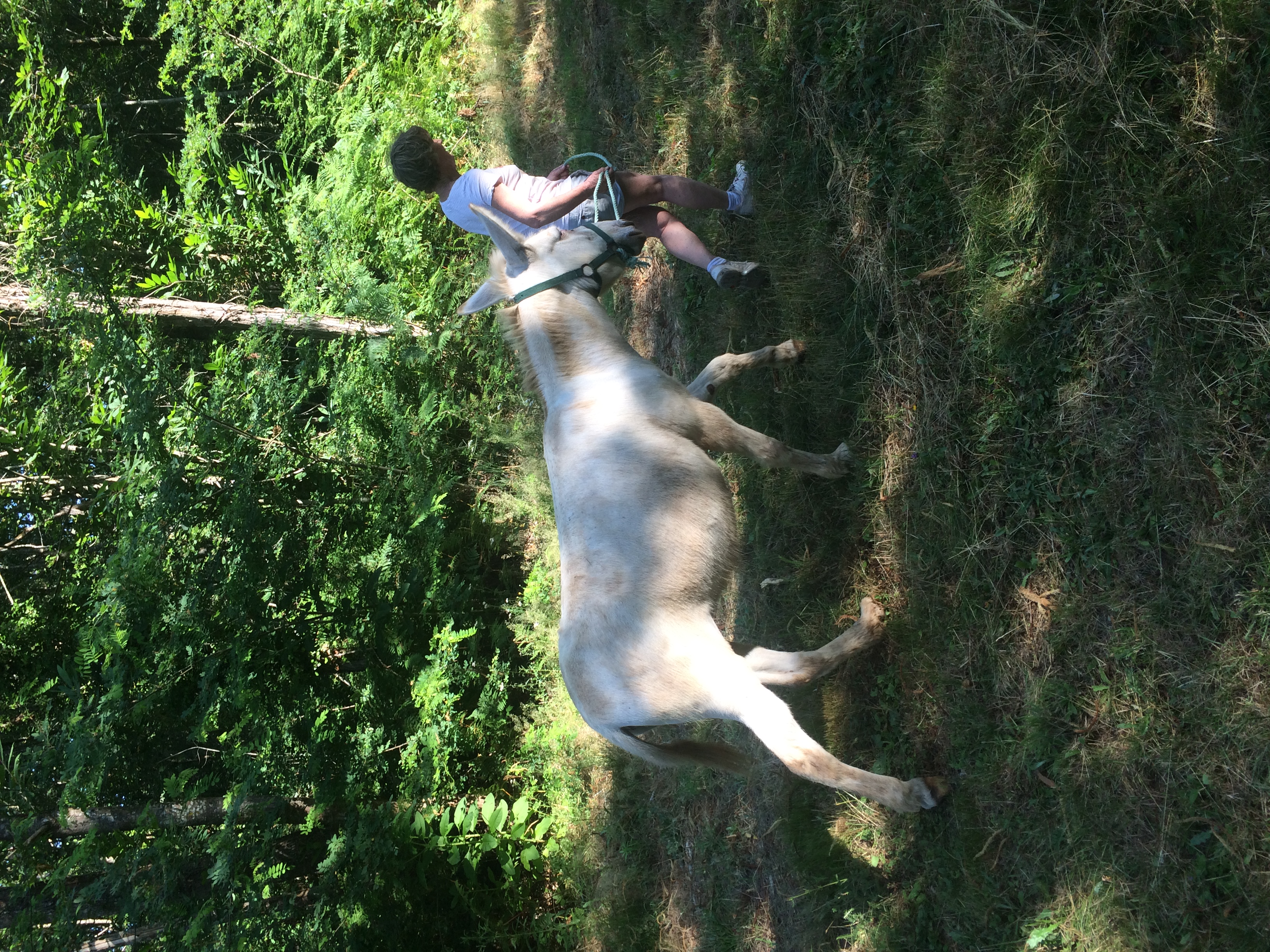 Camping Domaine de Laguneaussan