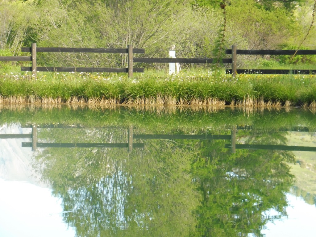 Camping Domaine des Marmottes