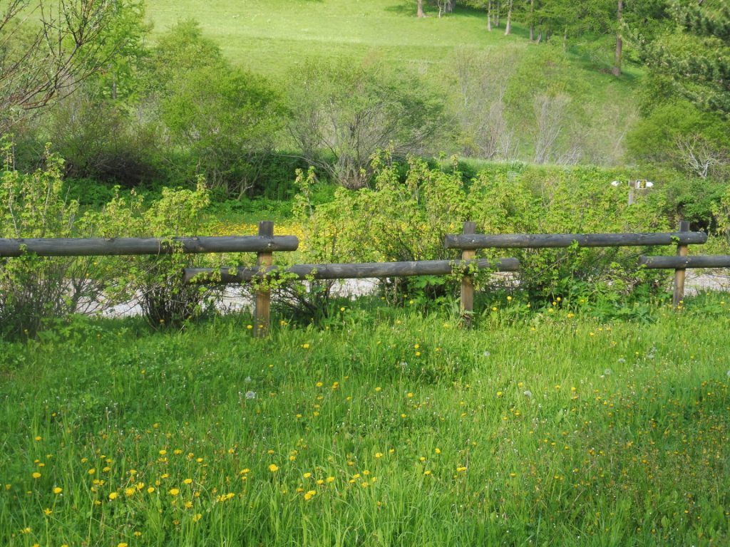 Camping Domaine des Marmottes