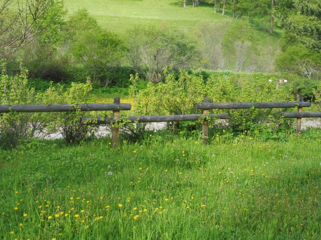 Camping Domaine des Marmottes