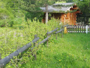 Camping Domaine des Marmottes