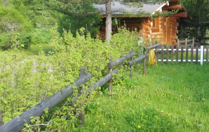 Camping Domaine des Marmottes