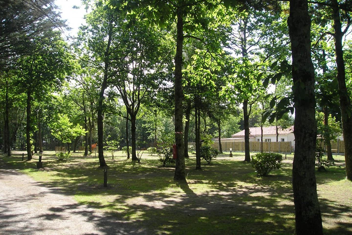Camping Domaine des Renardières  -  Wohnwagen- und Zeltstellplatz vom Campingplatz im Schatten von Bäumen