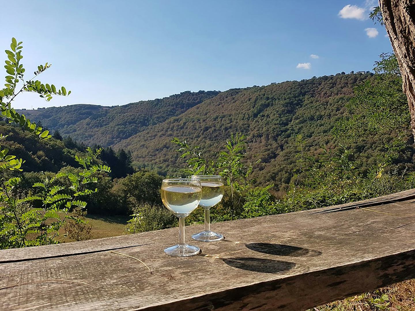 Camping Domaine La Libaudié