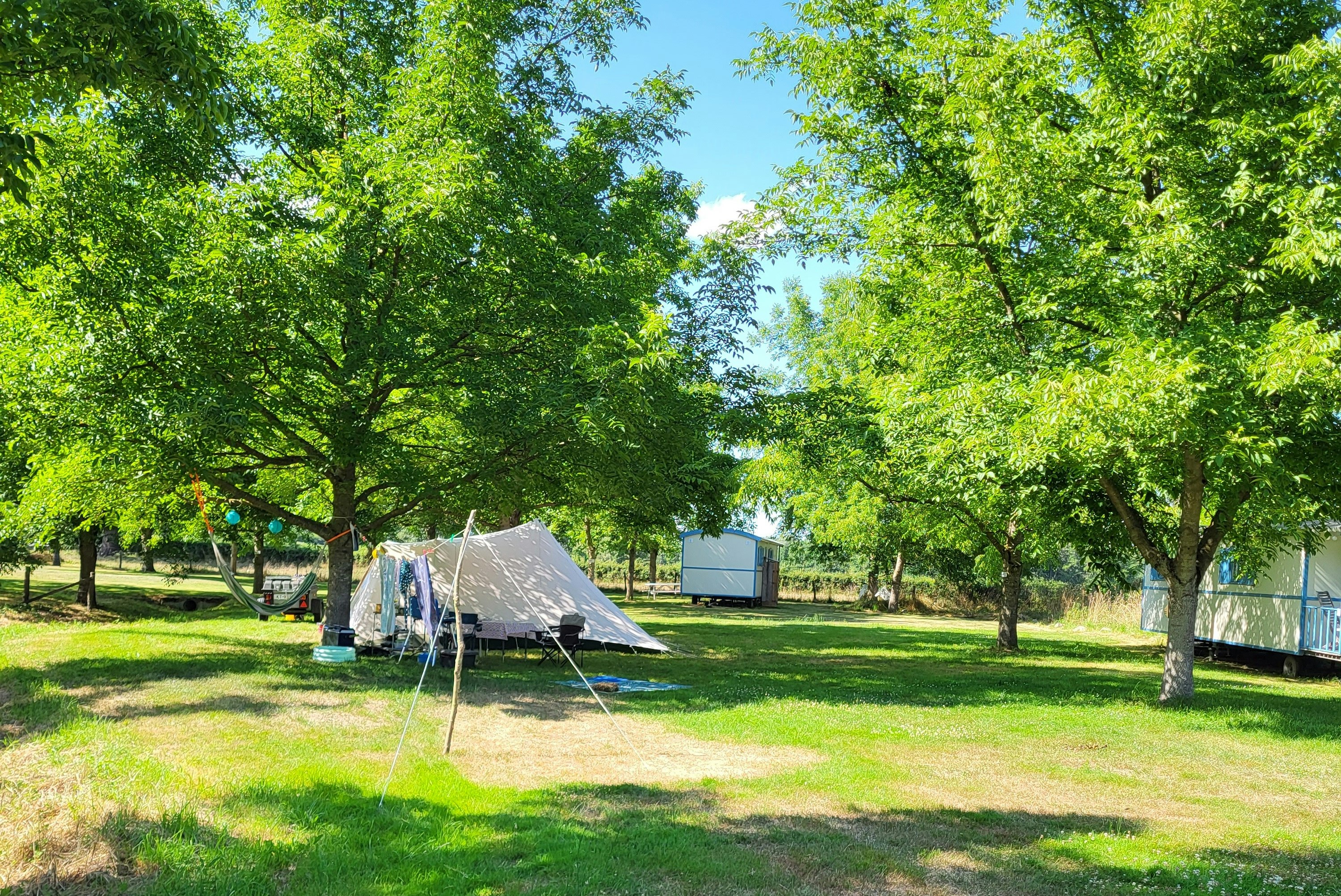 Camping Domaine La Terrasse - Blick auf die Standplätze auf der Wiese