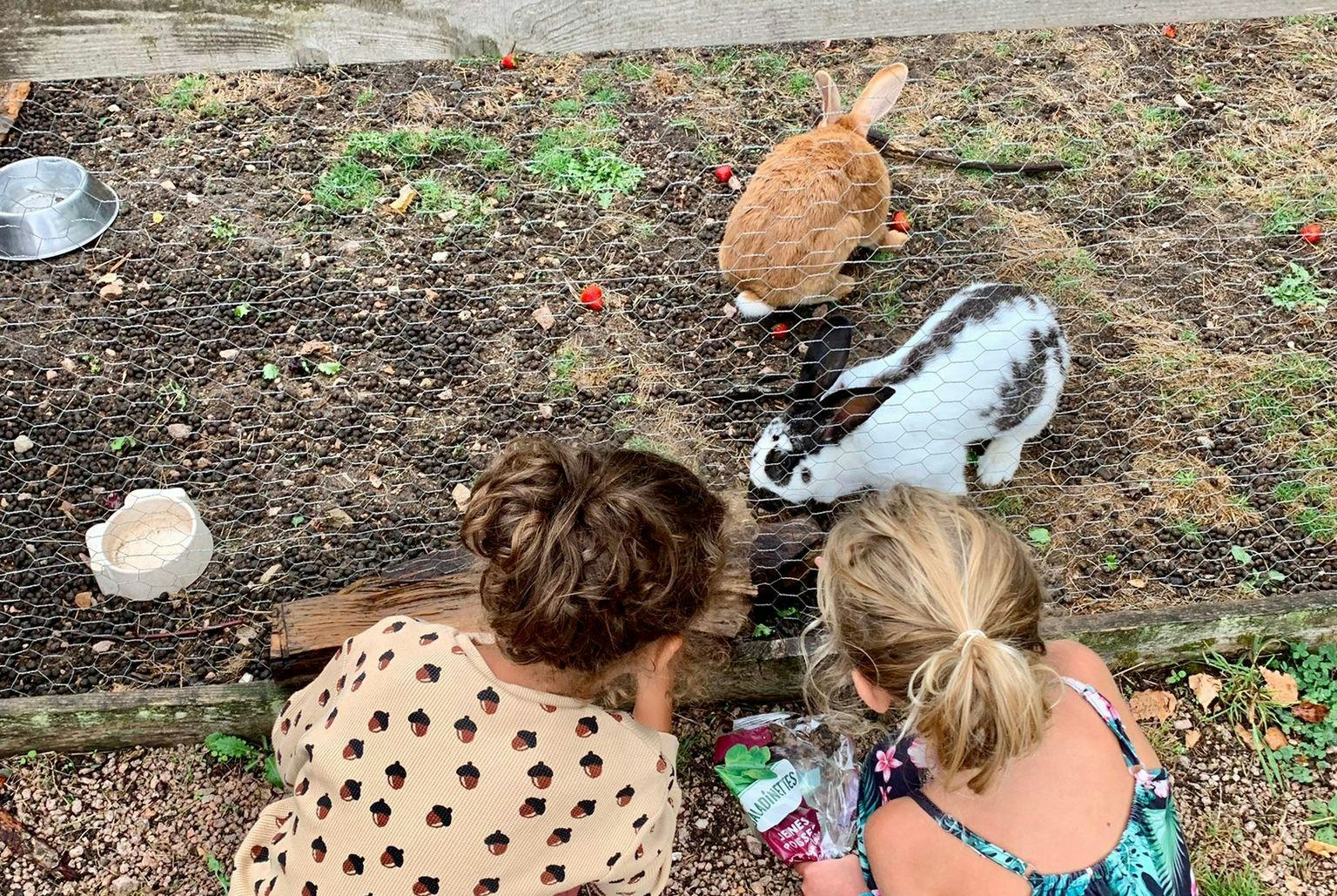 Camping Domaine La Terrasse - Kinder streicheln Kaninchen auf dem Campingplatz
