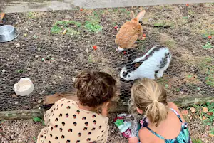 Familie am Zaun im Tiergehege: Kaninchen und Hühner im Gehege, Kinder füttern mit Futterbeutel.
