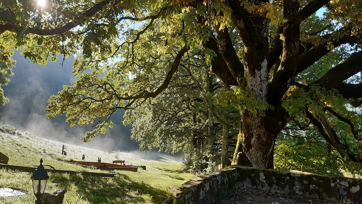 Camping Domaine Lacanal