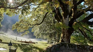 Camping Domaine Lacanal