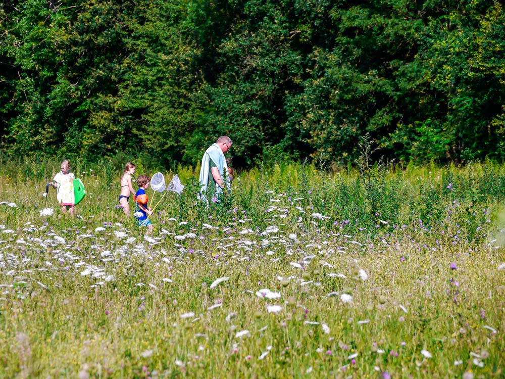 Familie im Blumenfeld am Waldrand: Erwachsene und Kinder gehen durch hohes Gras zwischen weißen Blüten.
