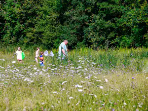 Familie im Blumenfeld am Waldrand: Erwachsene und Kinder gehen durch hohes Gras zwischen weißen Blüten.