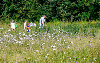 Camping Domaine les Gandins