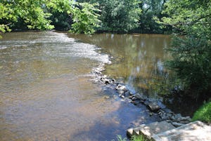 Camping Domaine les Gandins