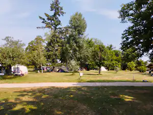 Campingwiese mit mehreren Zelten, Bäumen und Wegen, im Hintergrund weitere Stellplätze und ein offener Rasenbereich.