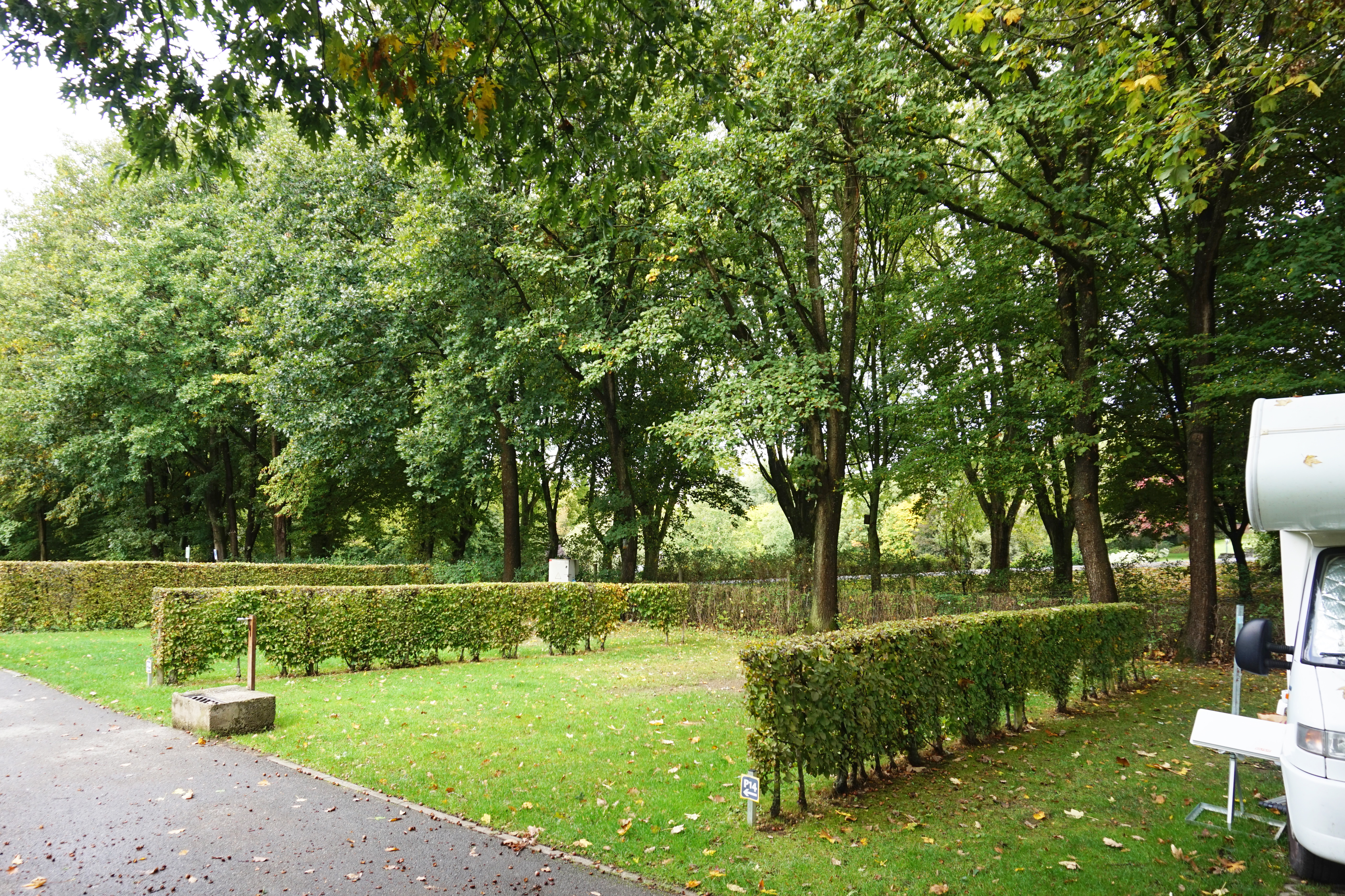 Domaine provincial de Wgimont - Standplatz - 1.jpg