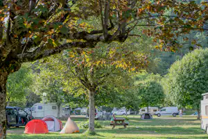 Onlycamp Domelin - Standplätze auf dem Campingplatz
