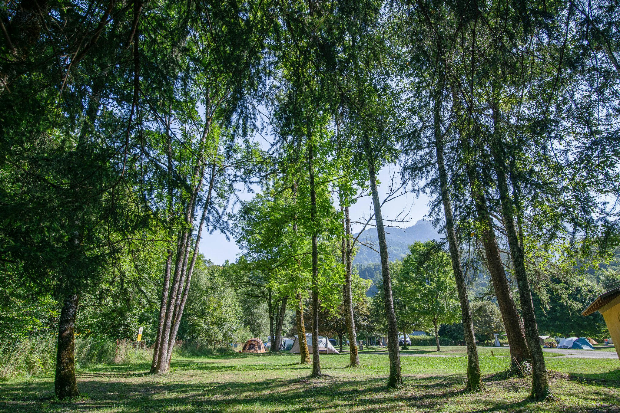 Onlycamp Domelin - Zeltwiese auf dem Campingplatz
