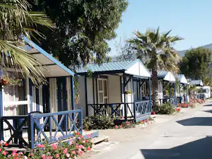 Camping Don Cactus