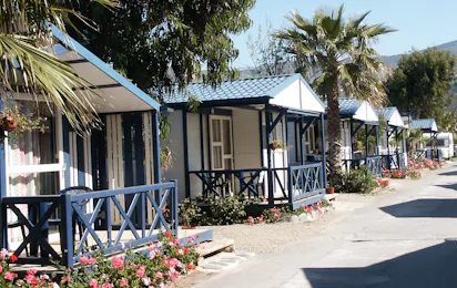 Camping Don Cactus