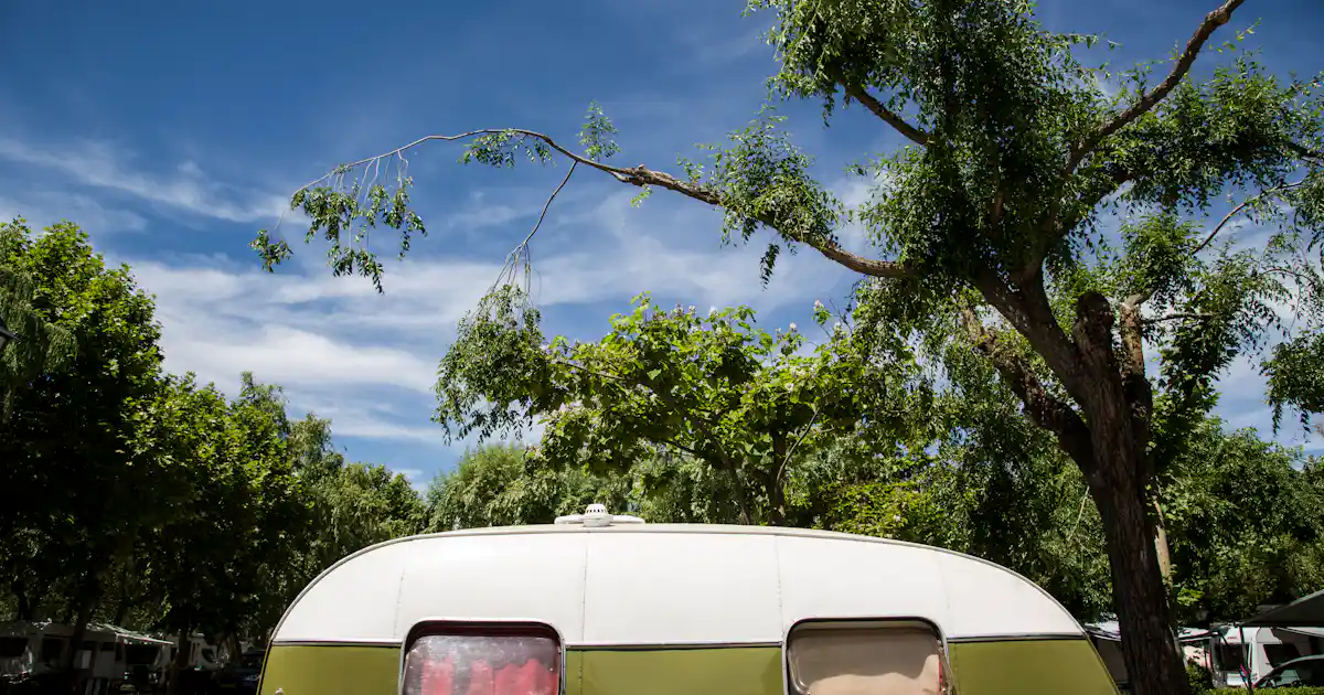Camping Don Quijote photo 4
