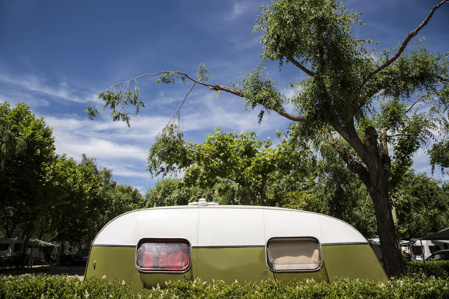 Camping Don Quijote - Wohnmobil unter einem Baum