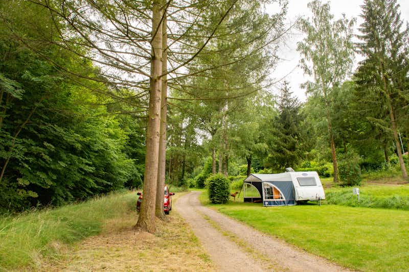 Camping Donnersberg - Wohnwagen- und Zeltstellplatz im Grünen auf dem Campingplatz