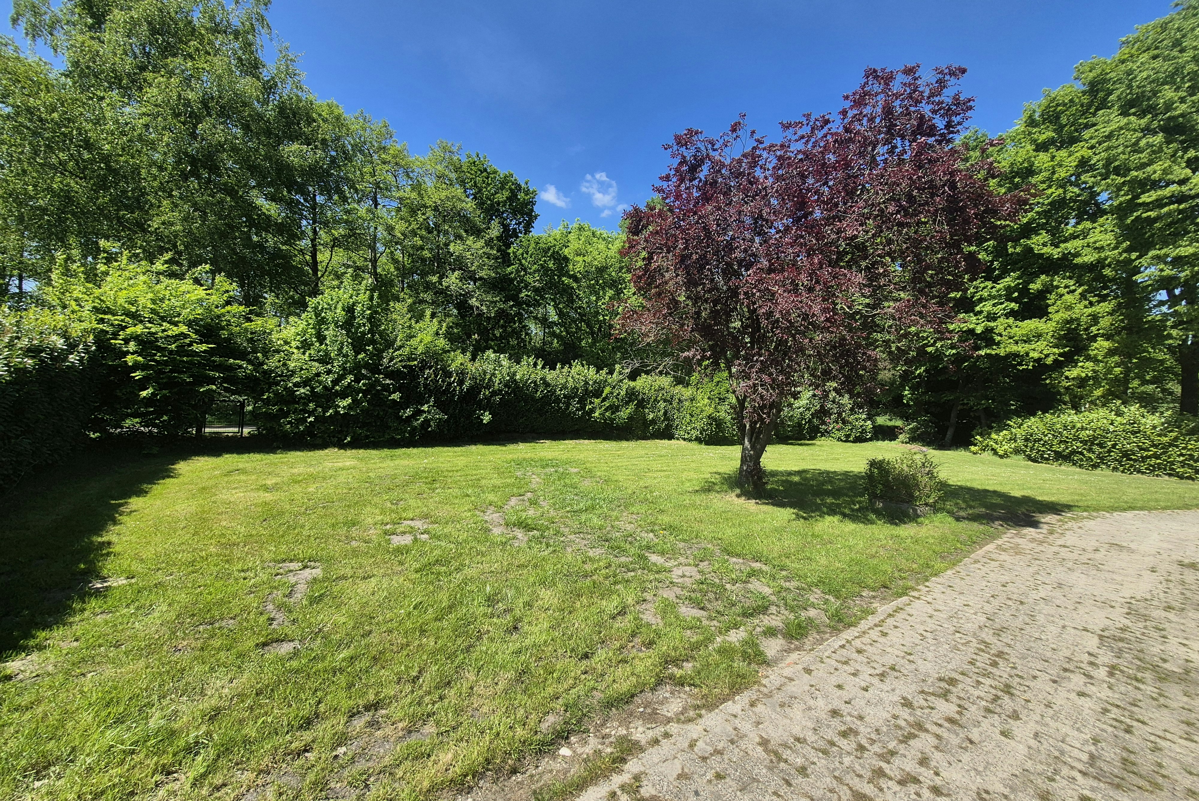 Camping Dörpen - Standplätze auf dem Campingplatz