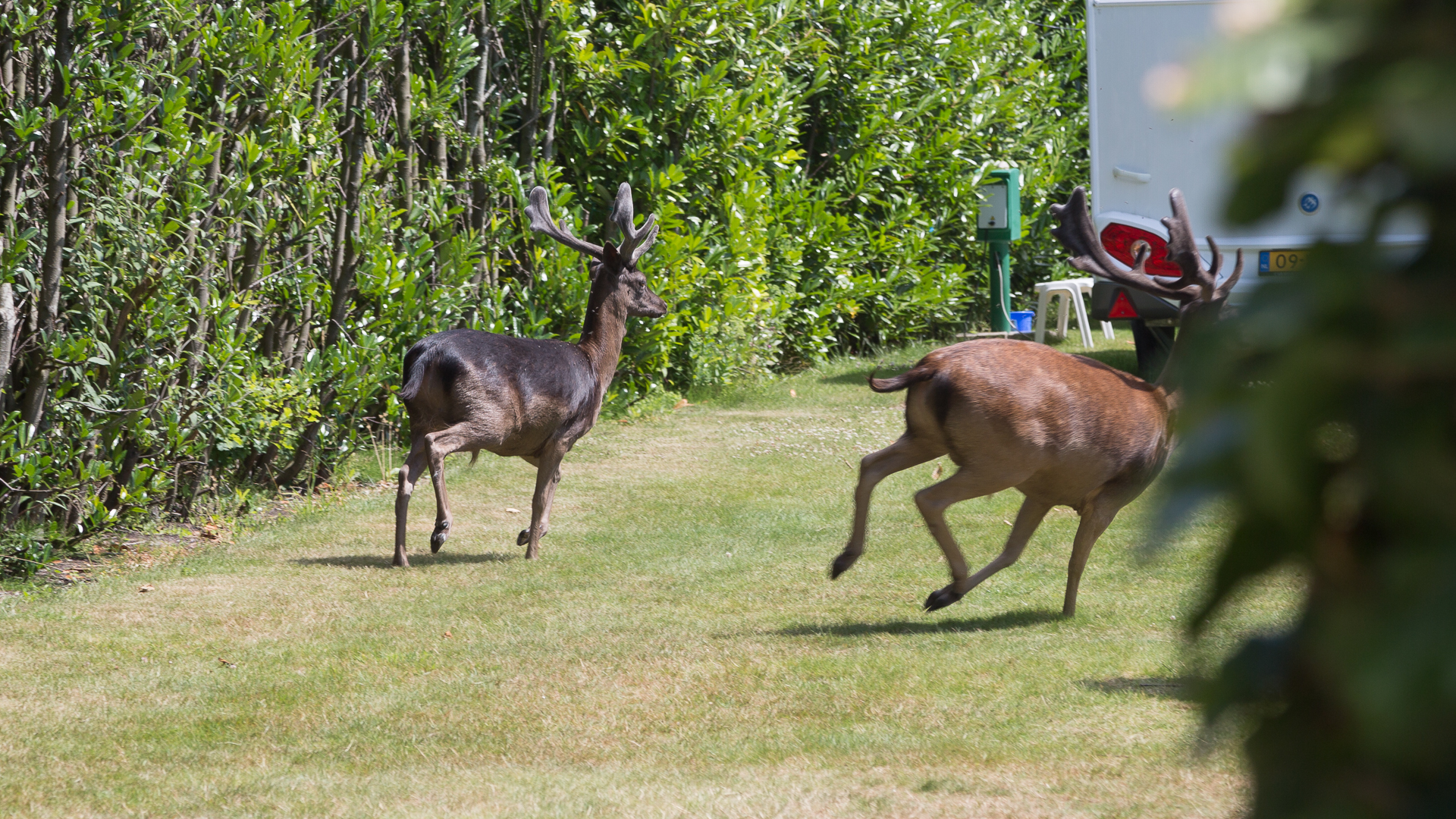 Camping  D'Ouwe Veiling