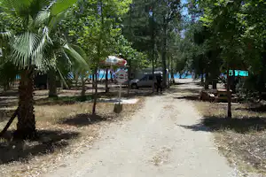 Camping Dragon Motel - Wohnwagen- und Zeltstellplatz vom Campingplatz zwischen Bäumen und Blick auf das Mittelmeer