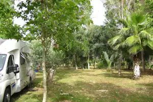 Camping Dragon Motel - Wohnwagenstellplatz und Wohnmobilstellplatz vom Campingplatz im Grünen zwischen Bäumen