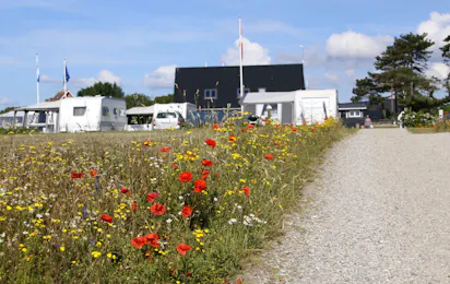 Dråby Strand Camping Ebeltoft