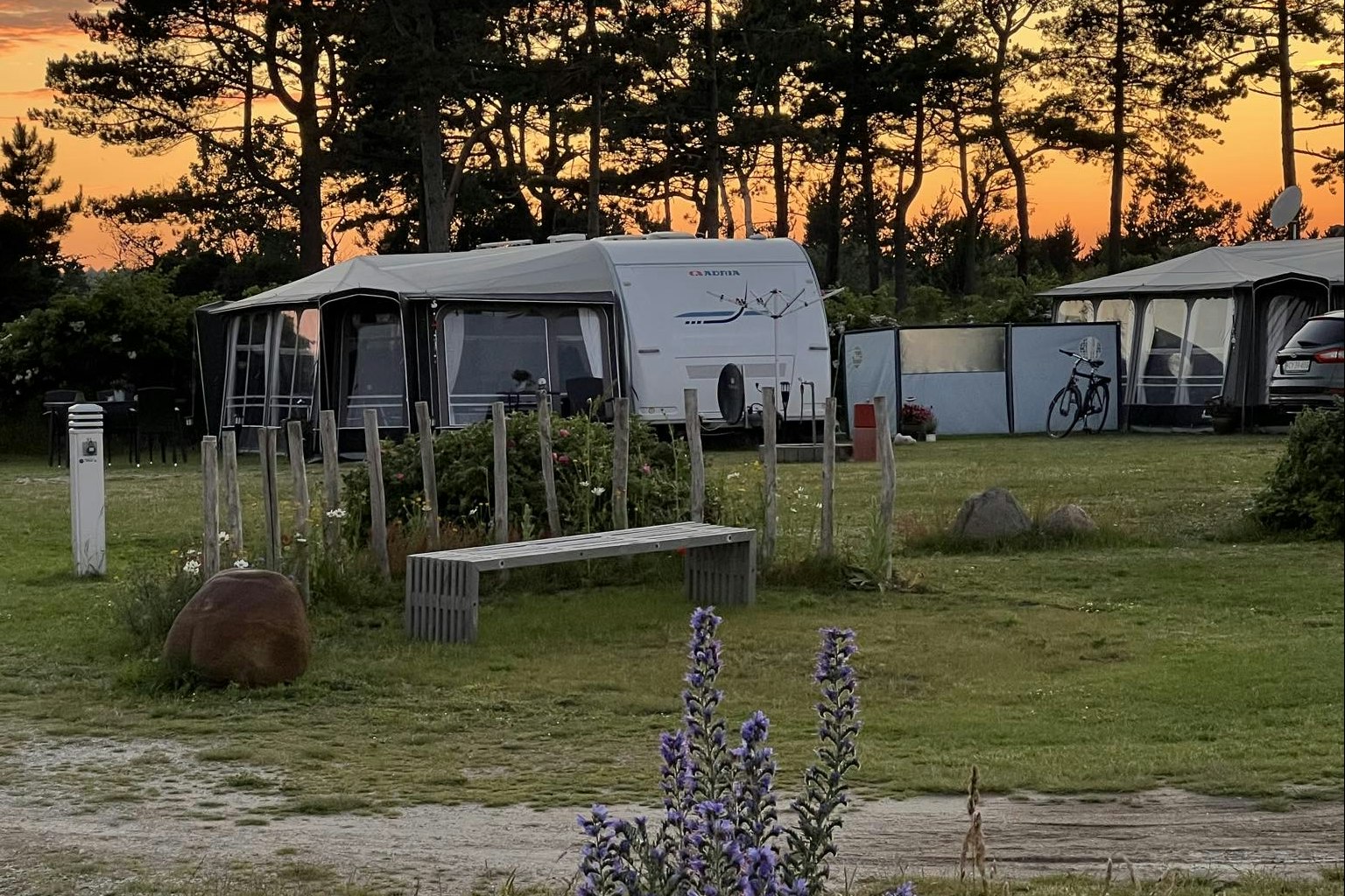 Dråby Strand Camping Ebeltoft  Camping Dråby Strand - Standplätze auf der Wiese bei Sonnenuntergang