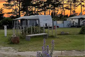 Dråby Strand Camping Ebeltoft Camping Dråby Strand - Standplätze auf der Wiese bei Sonnenuntergang