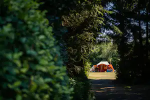 Oranges Zelt auf einem Campingplatz, umgeben von hohen Bäumen, mit Grasfläche und Weg im Vordergrund.
