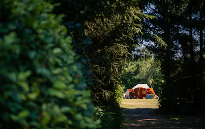 Camping Drentsheerlijk
