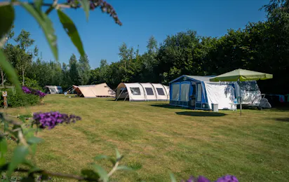 Camping Drentsheerlijk